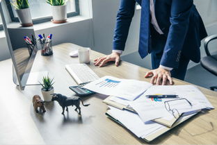 網站建設與維護 構筑數字門面的持續生命力